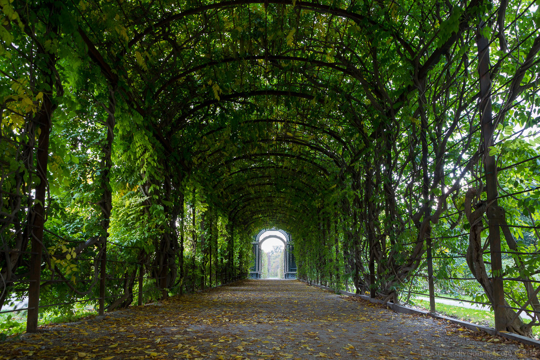 Vienna